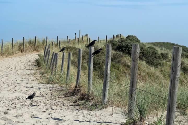Me Oissie Villa Egmond aan Zee Exteriör bild